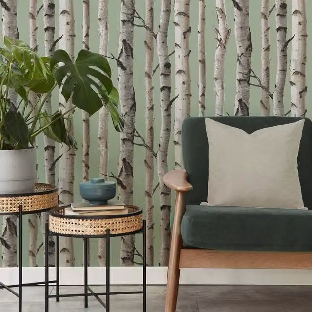 Fine Decor Birch Trees Botanical Mural Wallpaper in Sage Green