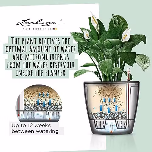 Lechuza Classico 35 LS Self Watering Plant Pot, Black High-Gloss Plastic Planter, D35 x H33 cm – 2