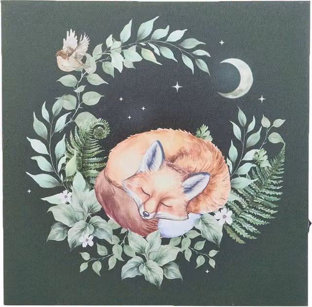 Something Different Canvas Sleeping Fox Plaque, Multicoloured