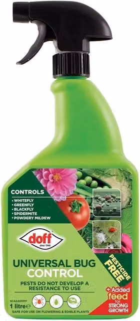 Green Bug and Fungus Control Spray for Ornamental and Vegetable Gardens