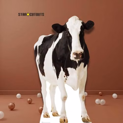 Star Cutouts SC163 Cow Cardboard Cutout, Multicolour, Height: 152 cm – 4