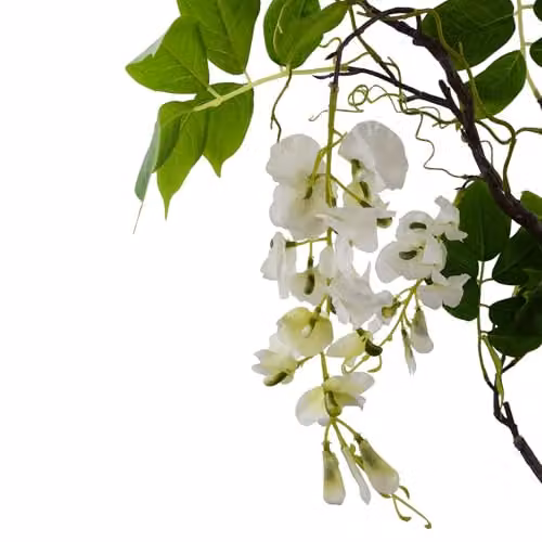 Leaf Design UK White Realistic Artificial Wisteria Bush Tree, Height: 90 cm – 2