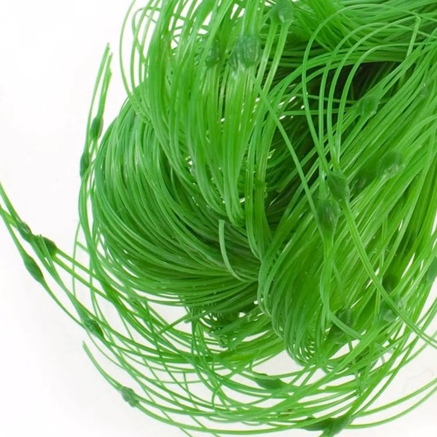 Universal Textiles Kingfisher Pea and Bean Netting, Green, 4 x 1.7m – 3