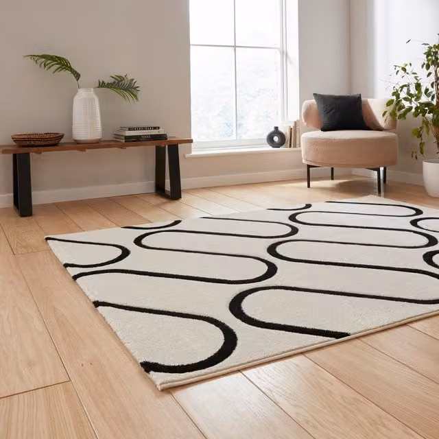 Catherine Lansfield Linear Curve Modern Geometric Rectangular Rug in White and Black