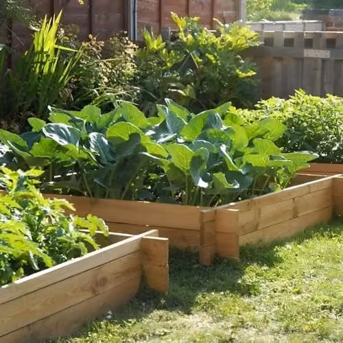 Primrose The Chamberlain Wooden Raised Outdoor Grow Bed, 200L, Beige, H: 20 cm, W: 100 cm, D: 100 cm – 1