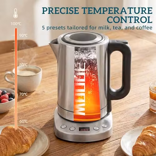 HOMCOM 1.7L Electric Kettle with Temperature Control and Keep Warm Function, Silver – 4