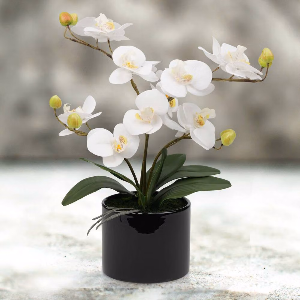 Crystals White Artificial Silk Orchid Flower Potted Tabletop Decor – 5