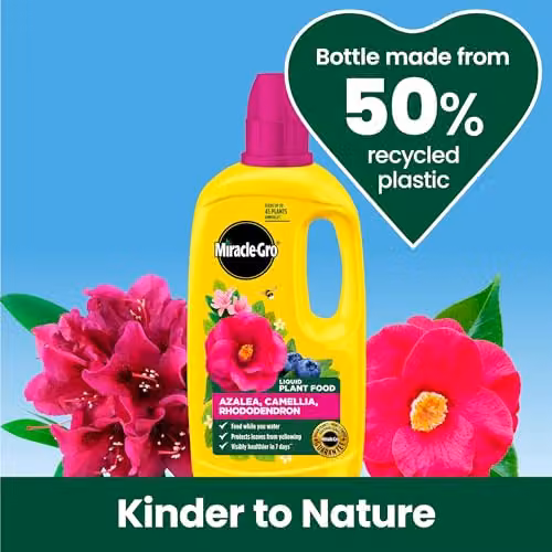 Miracle-Gro Ericaceous Liquid Plant Tonic, 0.8 l – 5