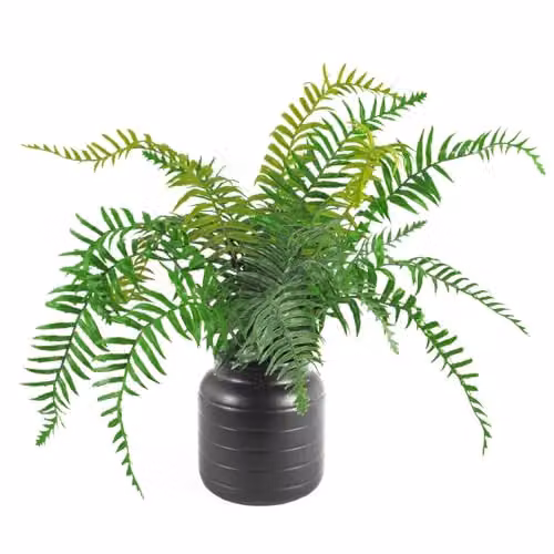 Leaf Ceramic Black Indoor Cachepot Planter W/D/H: 13 x 13 x 14 cm – 3