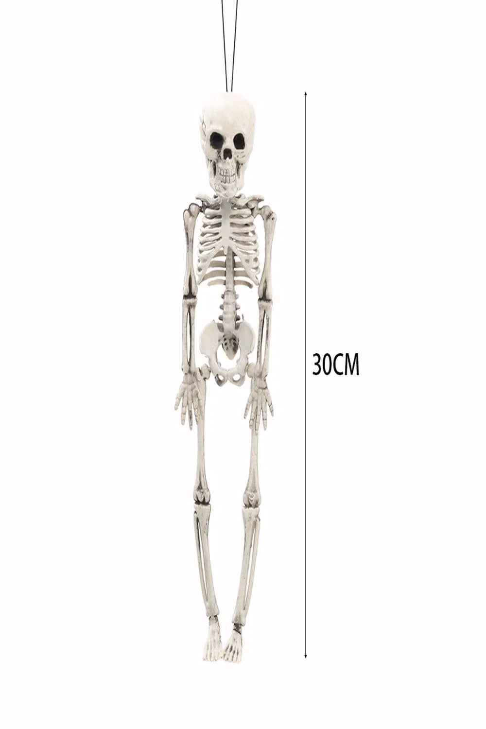 Garden Sanctuary Realistic Posable Hanging Skeleton for Halloween in White – 3