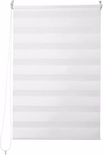 PAWNORA Zebra Day and Night Window Roller Blind, White, Width: 60 cm