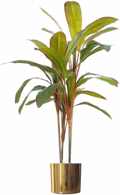 Leaf 100cm Artificial Realistic Green Dracaena Tropical Plant in a Gold Metal Planter