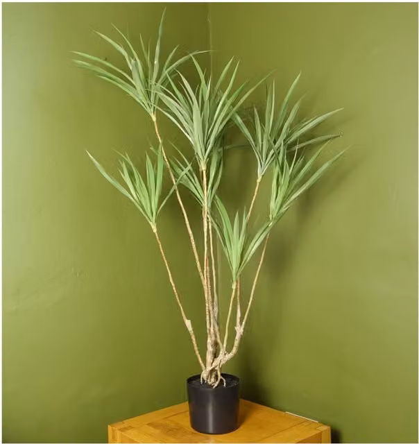 Botanik UK 125cm Artificial Dracaena Dragon Tree with Twisted Trunk in Green and Black