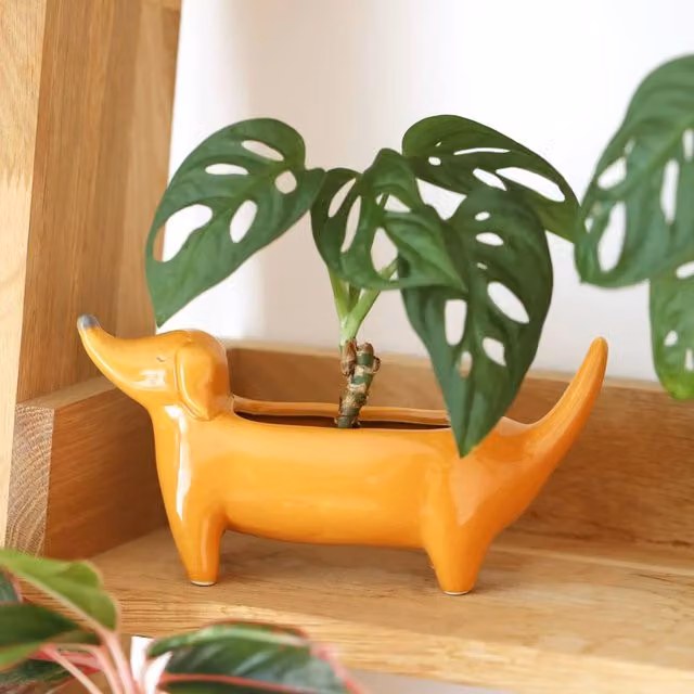 Lisa Angel Orange Dachshund Standing Ceramic Tabletop Dog Planter – 1