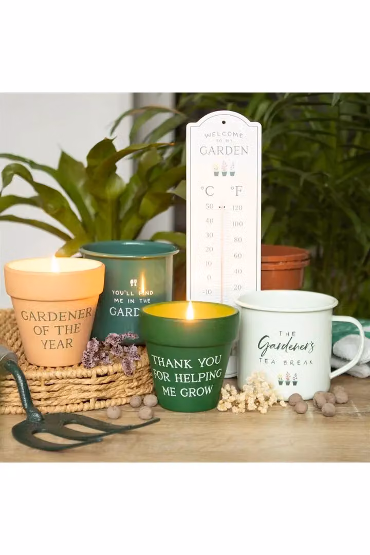 KDMD Gardener of the Year Citronella Votive Candle in Brown Ceramic – 2