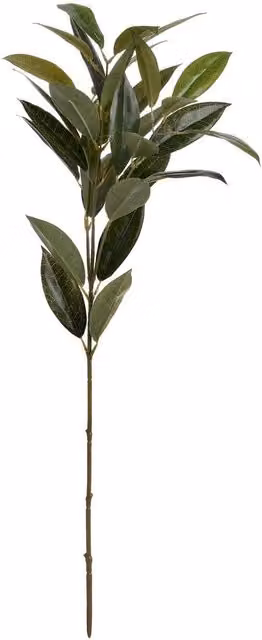 Hill Interiors Faux Bay Leaf Spray in Dark Green