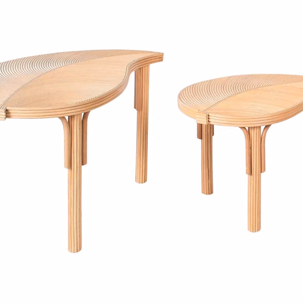 Wyld and Coco Nest of 2 Coffee Tables in Beige with Natural Rattan Floral Design – 2
