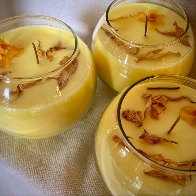 Clachaig Candles Ltd Yellow Daffodil Scented Organic Soy Wax Tabletop Bowl Candle
