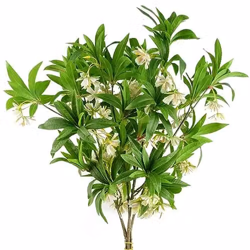 Green Leaf Design Artificial Floral Plastic Decoration – 1
