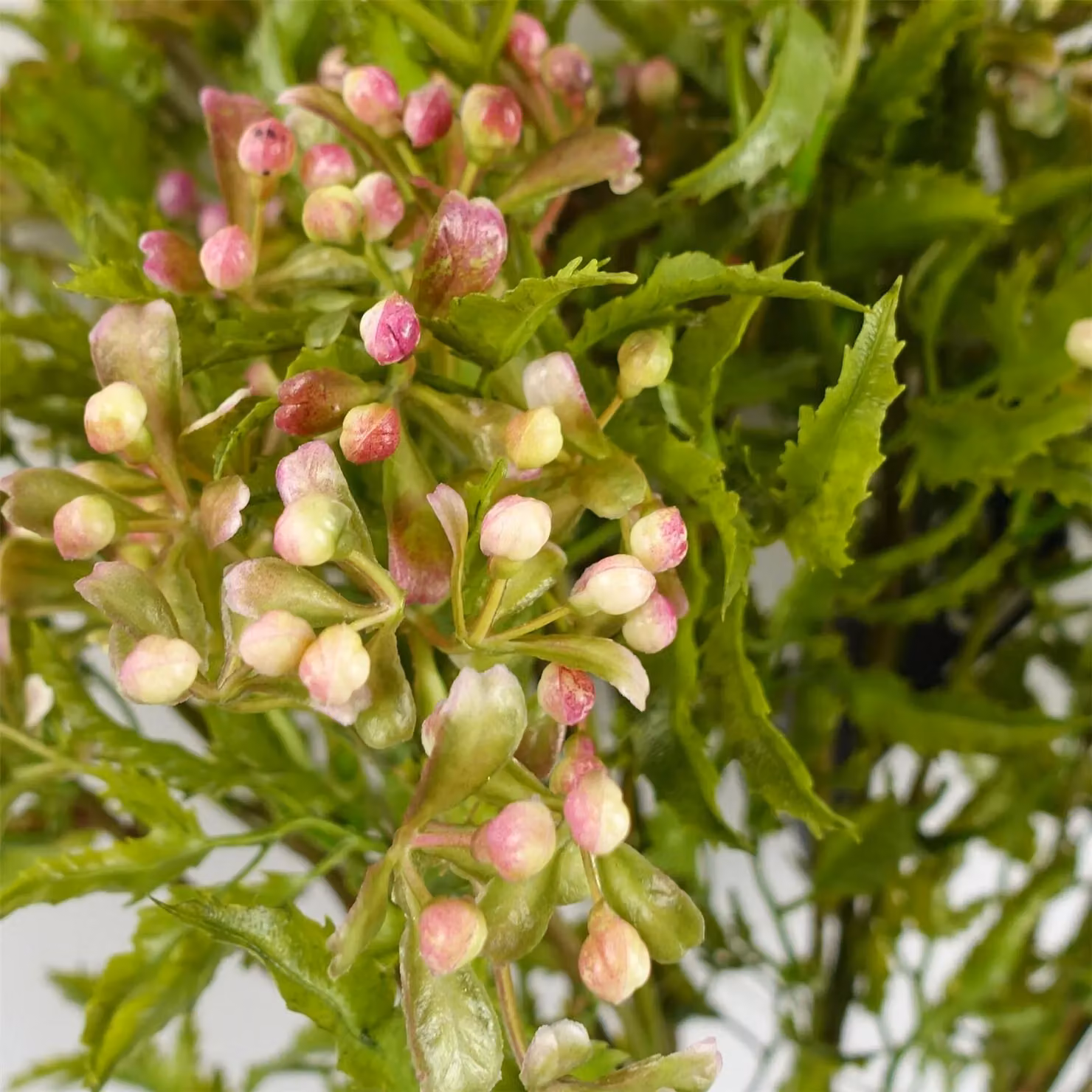 Leaf Artificial Pink Berry Foliage Stem, 55 cm – 2
