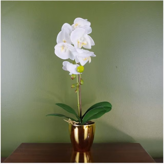 Dyzi White Artificial Orchid with Real Touch Leaves in a Round Decorative Pot, Height: 46 cm