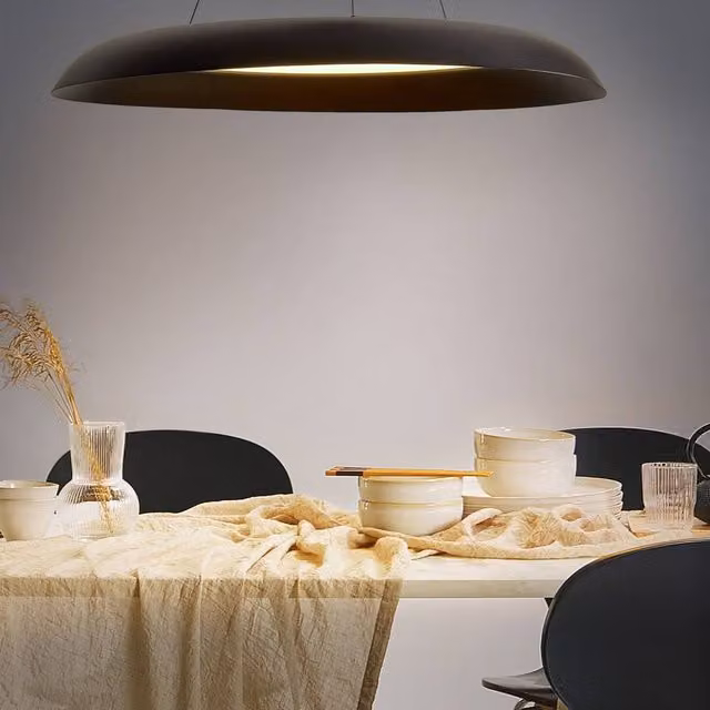 Wyld and Coco Black Metal Industrial Pendant Lamp with Integrated LED Ring and Adjustable Height