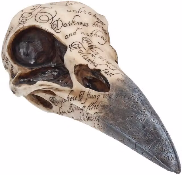 Nemesis Now Edgar's Raven Skull Figurine in Black and White, Height: 21 cm