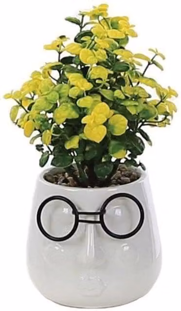 Primrose Artificial Primrose House Plant in a White and Black Ceramic Pot, Height: 17 cm