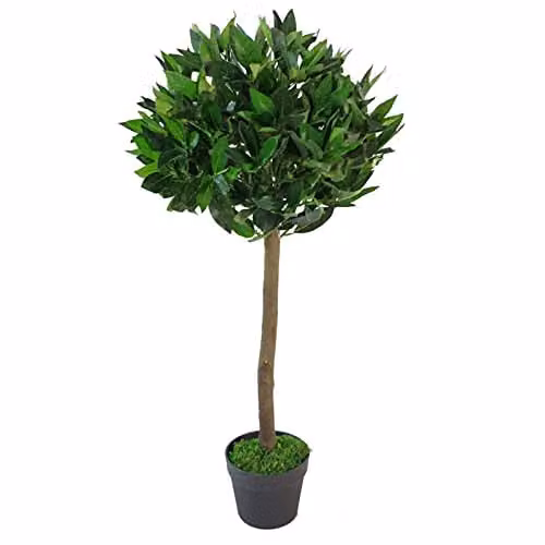 Leaf Design UK Artificial Realistic Bay Laurel Topiary Ball Tree in Green, Height: 90 cm – 1