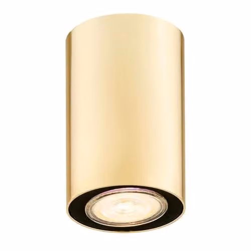 Argon Tyber Plus Surface Mounted Cylinder Downlight in Brass and Steel