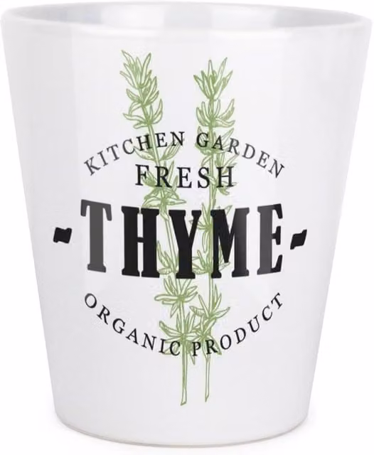 Purely Home Ceramic Plant Pot in Green, Black or White