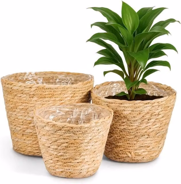 SPETLEK Set of 3 Seagrass Plant Pot Baskets in Natural Beige and Sand