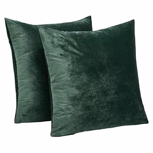 Sienna 2 Pack of Matte Velvet Square Cushion Covers in Green, W/D/H: 45 x 45 x 45 cm