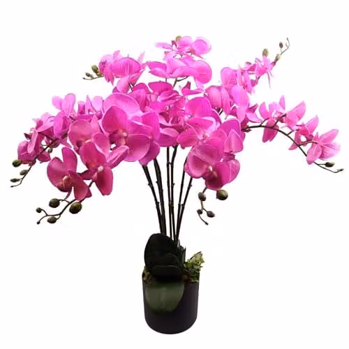 Leaf Design UK Pink Artificial Deluxe Orchid in a Black Pot, Height: 85 cm – 1