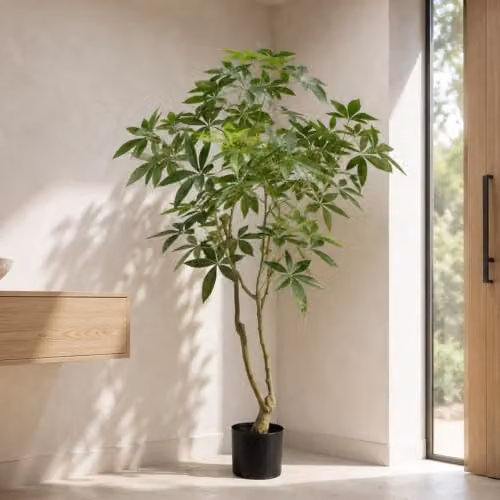 Botanik Realistic Artificial Money Tree Pachira Faux Plant, Green, H 150 x W 90 x D 90 cm – 1