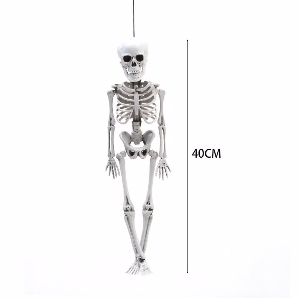 Garden Sanctuary Realistic Posable Hanging Skeleton Figure in White for Halloween – 3
