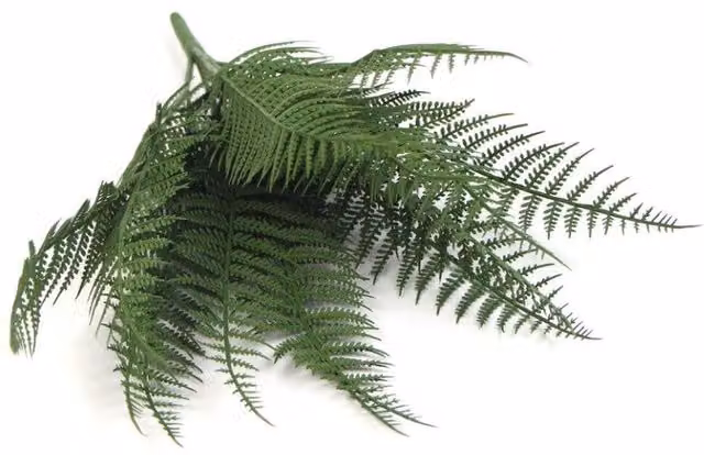 Leaf UK Green Fire Resistant Artificial Fern, Height: 35 cm, Width: 20 cm