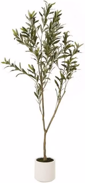 Lemon Pavilion Apulia Mediterranean Olive Tree in Pot, Green, Brown and White, Height: 150 cm – 1