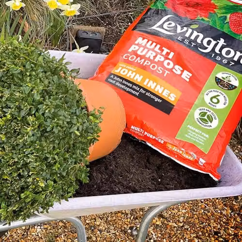 Levington Peat Free Multipurpose Compost for Ornamental and Vegetable Gardens, 40 Litres, Brown – 4