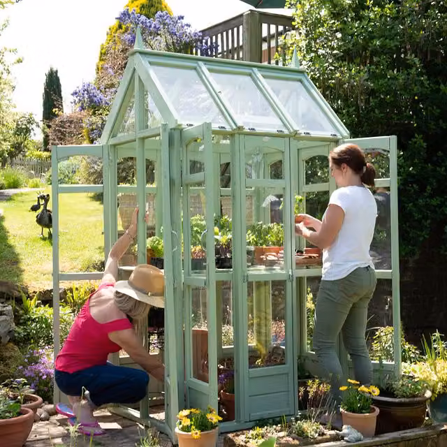 Victorian Walkaround Greenhouse in Forest Brown with Windows and Shelving