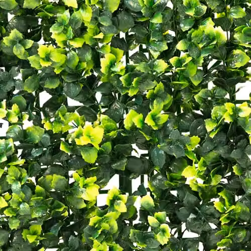Primrose Green Artificial Hedge Garden Patio Wall-Mounted Panel W/D/H: 50 x 50 x 1 cm – 2