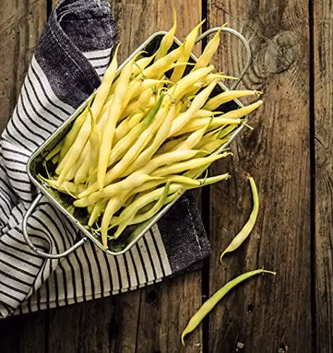 Thompson and Morgan Dwarf French Adoration Yellow Bean Seeds – 2
