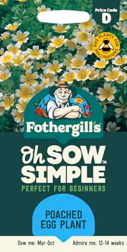Mr Fothergill's Oh Sow Simple Poached Egg Ornamental Flower Seeds, Multicolour and Yellow
