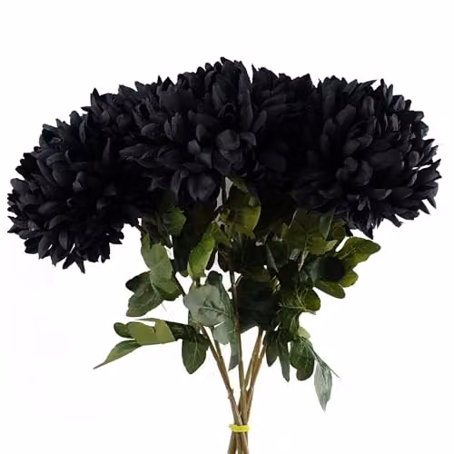 Pegdev Pack of 6 Black Reflex Chrysanthemum Artificial Silk Flowers, 75 cm – 5