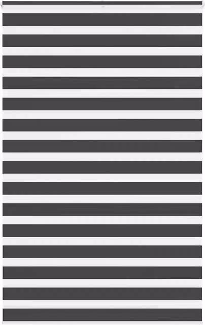 Berkfield Home Zebra Day and Night Blind in Black Polyester, W: 145 cm, H: 200 cm