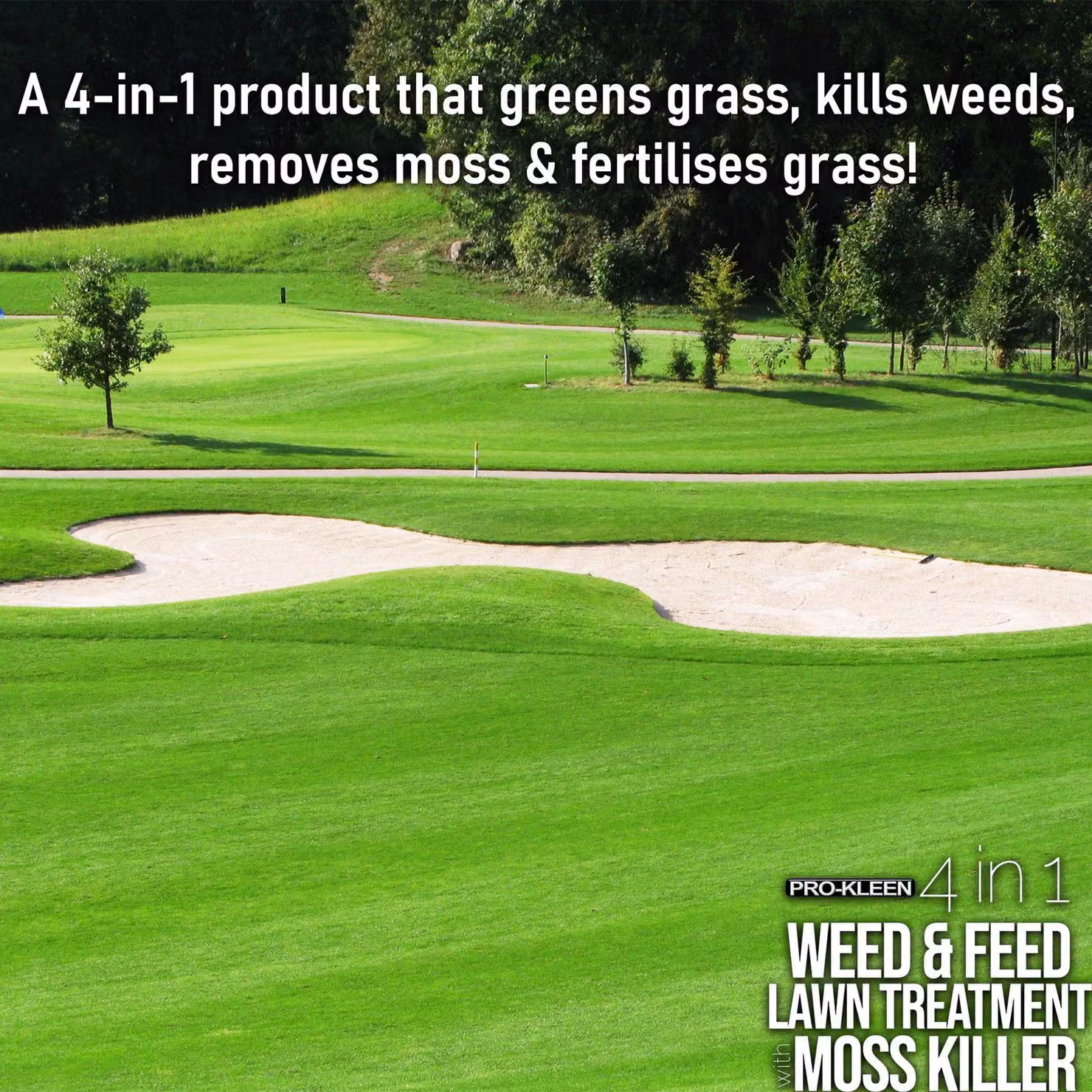 ProKleen 4 in 1 Weed and Feed Lawn Treatment with Moss Killer and NPK Fertiliser, 20kg – 3
