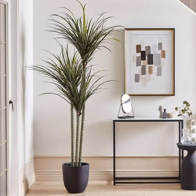 Wyld and Coco Luxe Dracaena Artificial Plant in Green Pot, Height: 198 cm – 1