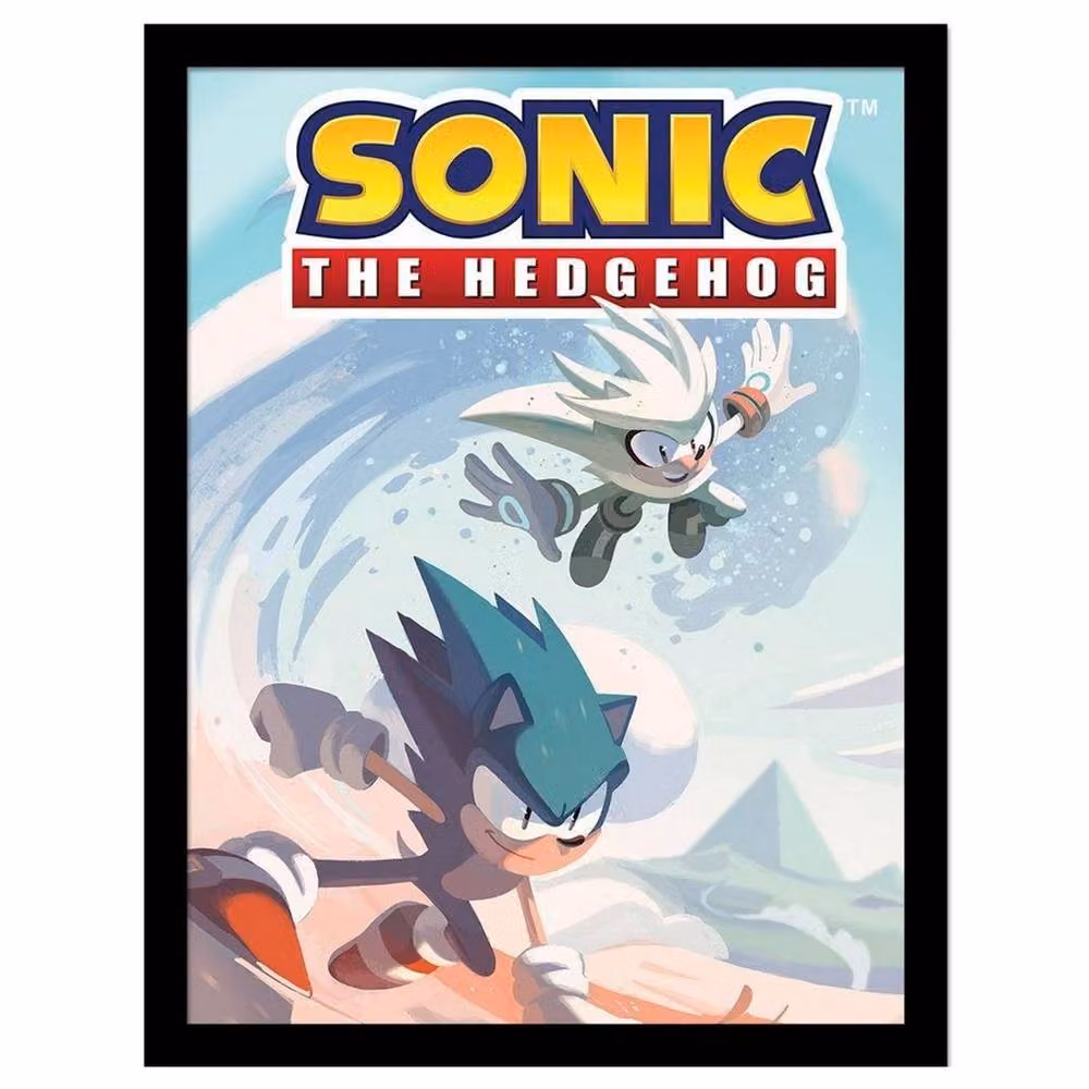 Sonic the Hedgehog Wave Multicolour Framed Paper Poster – 2