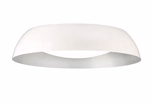 Netlighting Argenta LED Flush Ceiling Light, White and Silver, Diameter: 60 cm