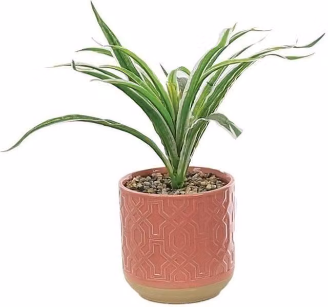 Primrose Green Artificial Spider Plant in a Red Geometric Ceramic Pot, Height: 28 cm